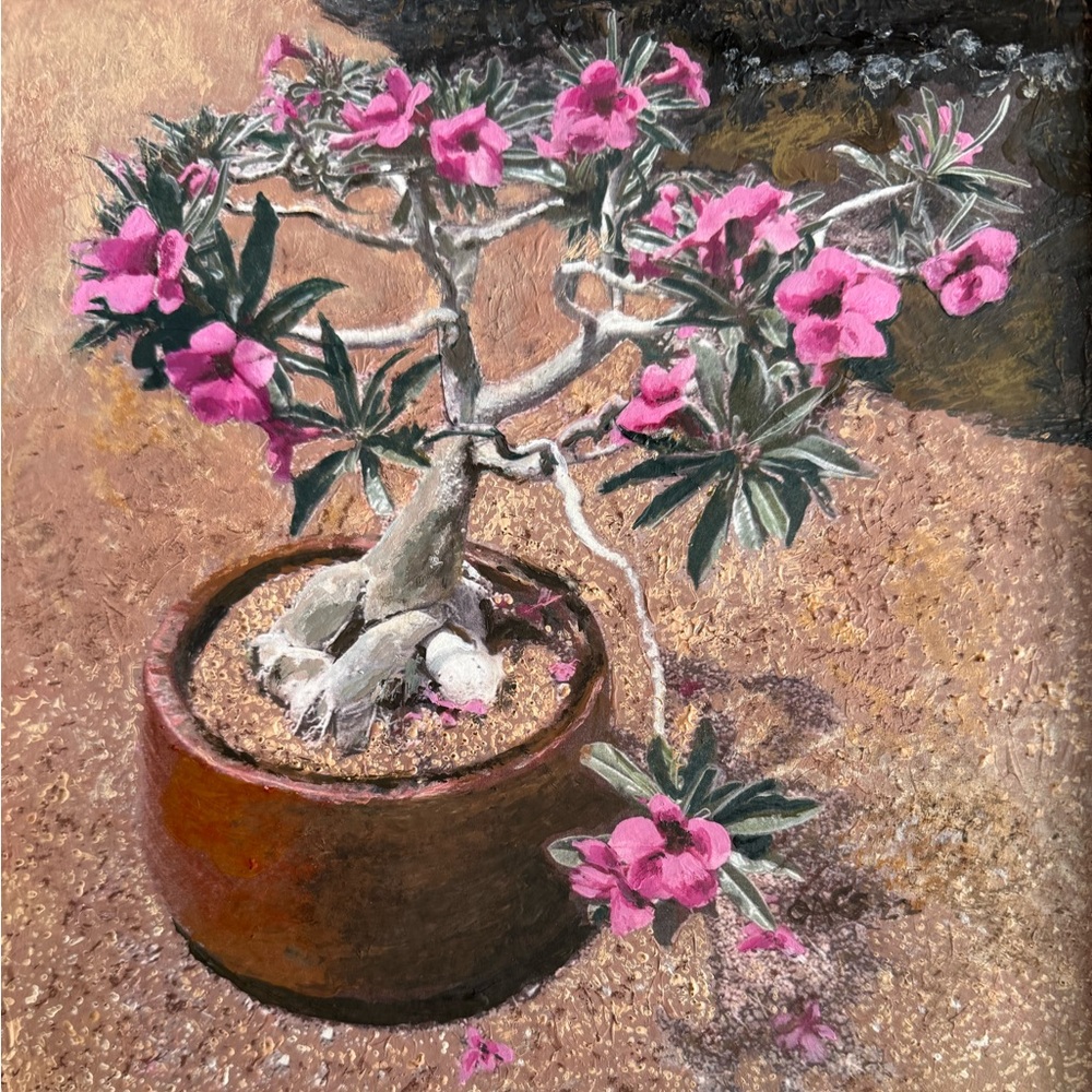 Meet your Posher, The desert rose